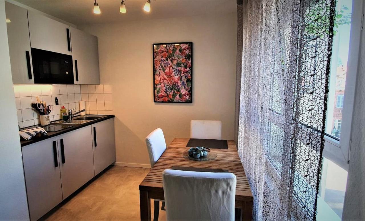 Deluxe Apartment Flamingo In Paradise フライブルク エクステリア 写真